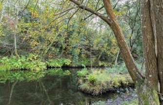 Varanda do Mouro - Foto 31