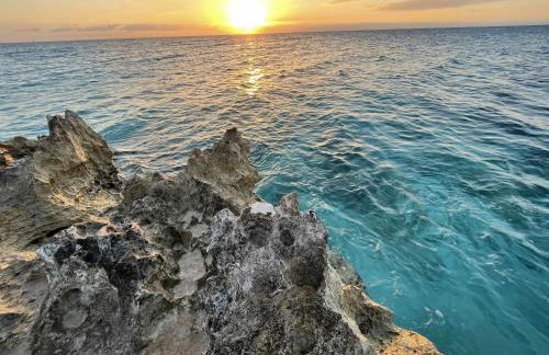 El mundo soleado - Foto 37