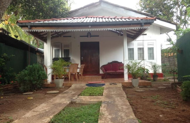 Villahredpalm - Foto 19