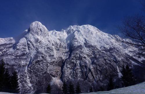 La Marmote Albergo Diffuso di Paluzza Faas - Photo 5