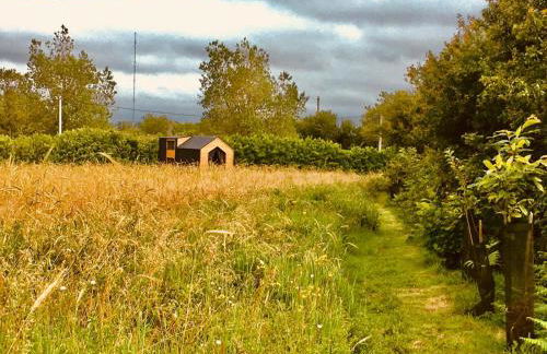 The Legendary Coast by Tiny Away - Foto 15