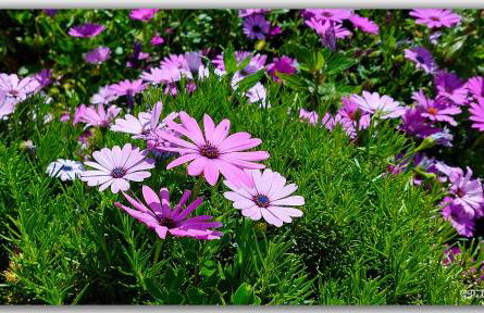 Casa Tío Pedro Martín - Foto 22