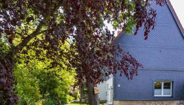 Ferienhaus Big Family - Foto 4