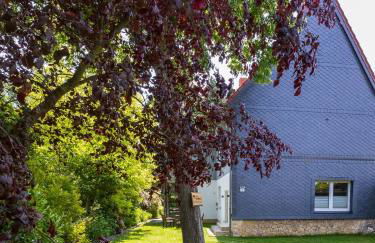 Ferienhaus Big Family - Foto 4