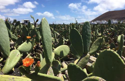 Casa Lili - Shared Pool - Close to Seafront Promenade - Sea Views from upper terrace - Foto 24