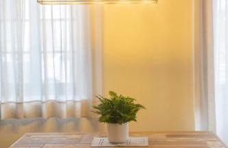 Apartamentos Rurales Casa Carlota - Foto 35