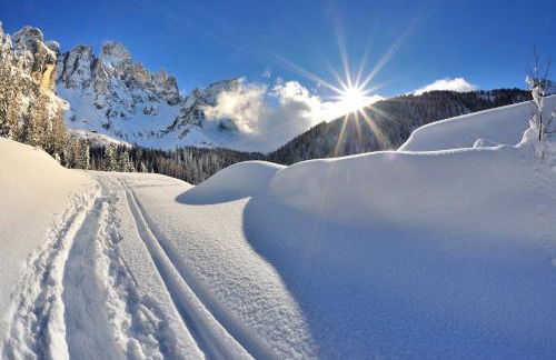 Agritur Darial - Photo 7