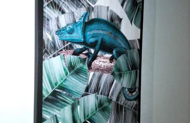 Guest House Patrocinio - Foto 30