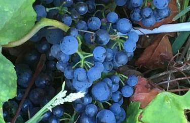 Peaceful, comfortable retreat with pool - Foto 51