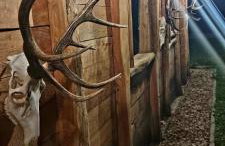 Myśliwska chata Staś i Nel - Foto 10