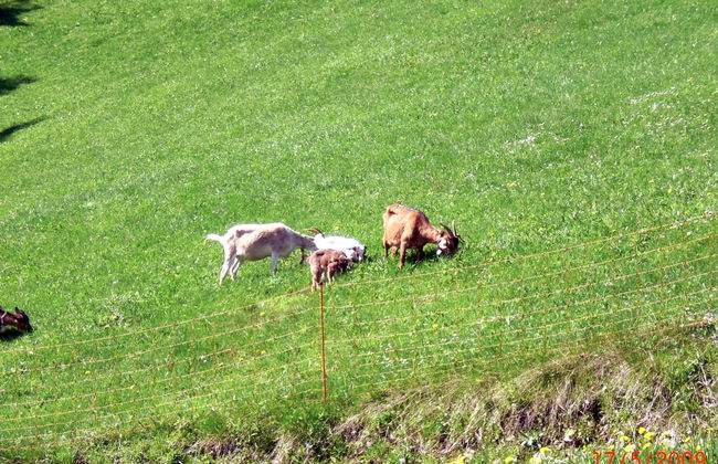 Mühlenmichelshäusle - Foto 19