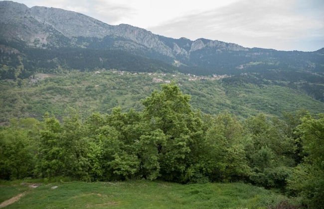 Arhontiko Christodoulou - Photo 43