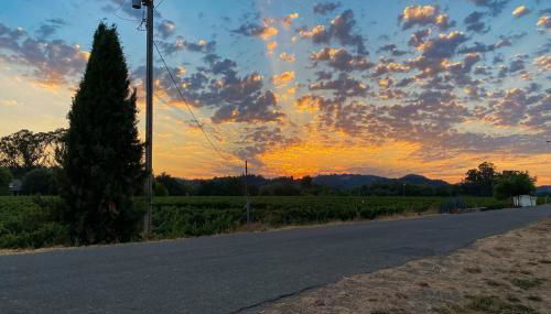 Magnolia Ranch Vineyards - Foto 4