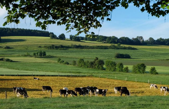 Chalet in Reinskopf With Fireplace and Balcony - Photo 38