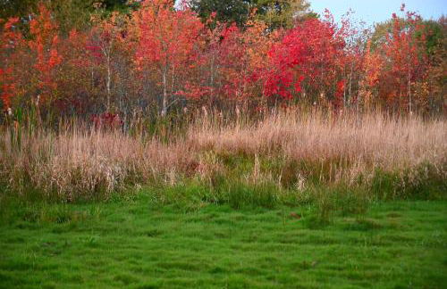 Likensco Beach/Farm House - Foto 24