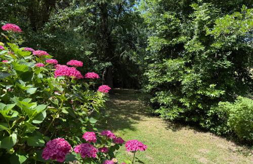 Les Cèdres - Foto 57