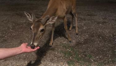 Waterfront Lake House on Lake LBJ - Foto 4