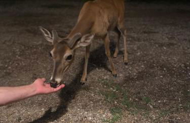 Waterfront Lake House on Lake LBJ - Foto 4