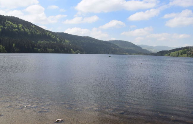 Huis Rieslehof Vakantiewoning 11 - Foto 8