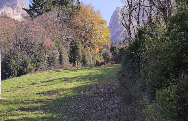 Superdevoluy545S - Photo 56