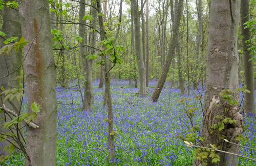 Garden House at The Red House Estate - Foto 38