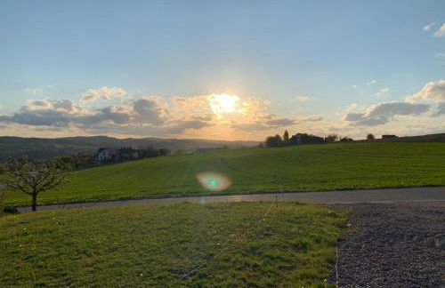 Landhaus Lehhof - Foto 54