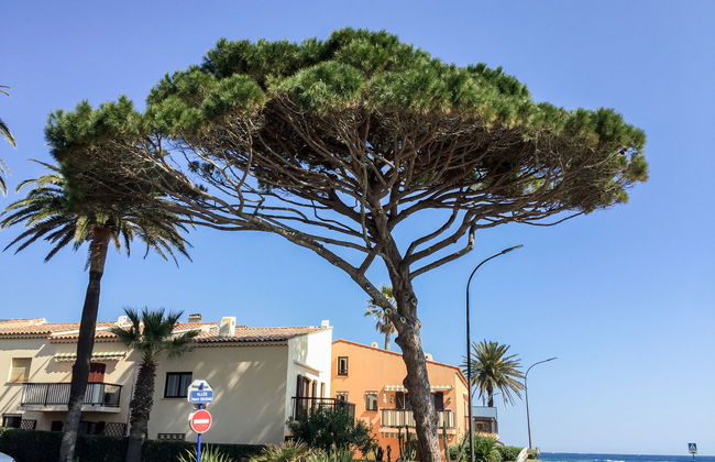 3 bedroom Apartment in Sainte-Maxime with terrace - Foto 16