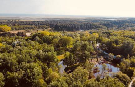 Gîtes L'Ancienne Ecurie - L'Ancien Atelier - Foto 21