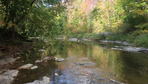 Water Street Apartments - Foto 4