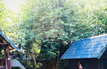 Natur pur - Foto 6