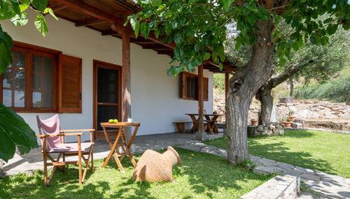 Bravita House - Foto 3, Garden