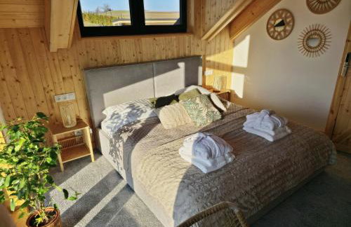 Czôrny Dąb - dom wakacyjny na Kaszubach, bilard, jacuzzi, sauna - Foto 65