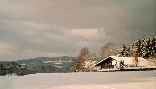 FW Winterer - Foto 5