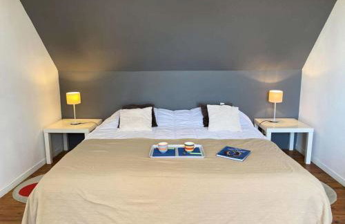 Résidence P38-ile Grande - Ty Pacha Vue mer Wifi jardin et parking, dépaysement à Ile Grande MAE-6094 - Foto 12