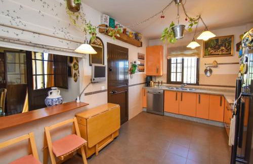 Vega’s Love - Foto 8