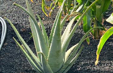 Casa Escanfraga I - Foto 16