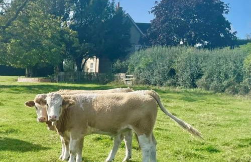 2 Bed in Woodhall Spa oc-91957 - Foto 30