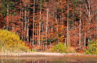 Domek nad Sanem - Foto 27