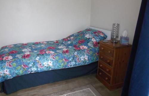 Sea Shells - Foto 23