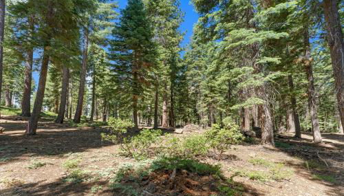 Villa Bossi - Foto 4