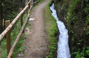 Mountain Village Hasenegg - Foto 23