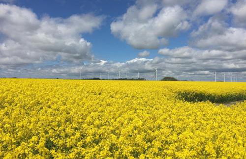 Deichkieker - charmantes Ferienhaus mit großem Garten in Alleinlage nahe der Nordsee - Foto 49