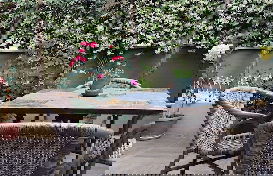 Araz Suite House - Photo 17