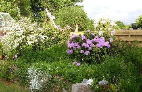 Springfield - Foto 18