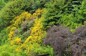 Apartament Międzygórze - Foto 14