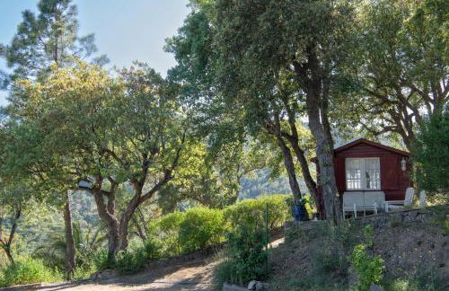 VILLA BAUHINIA - Golfe de Saint-Tropez - Foto 31