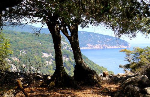 Apartment Kalikut - Foto 23