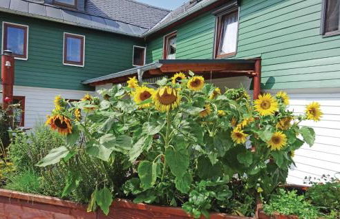 Awesome Apartment In Remptendorf - Foto 11