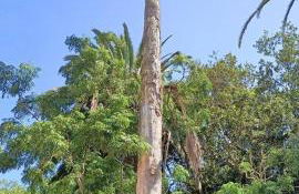 Casa emblematica en entorno de cuento - Foto 50