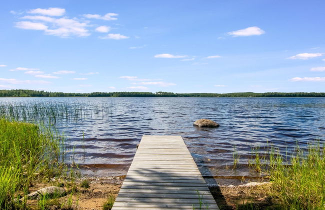 Niemennokka - Foto 4